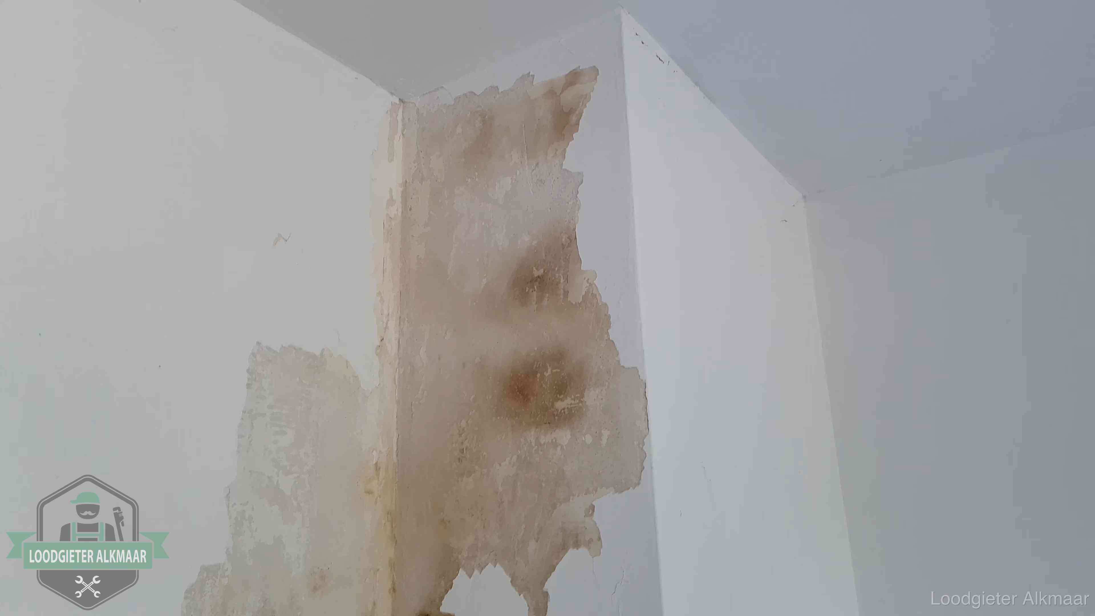 Bruine vochtkringen en afbladderend stucwerk op een binnenmuur in Alkmaar, een eerste teken van daklekkage