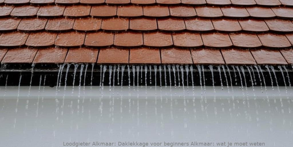 Daklekkage voor beginners Alkmaar: wat je moet weten