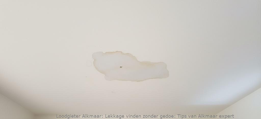 Lekkage vinden zonder gedoe: Tips van Alkmaar expert