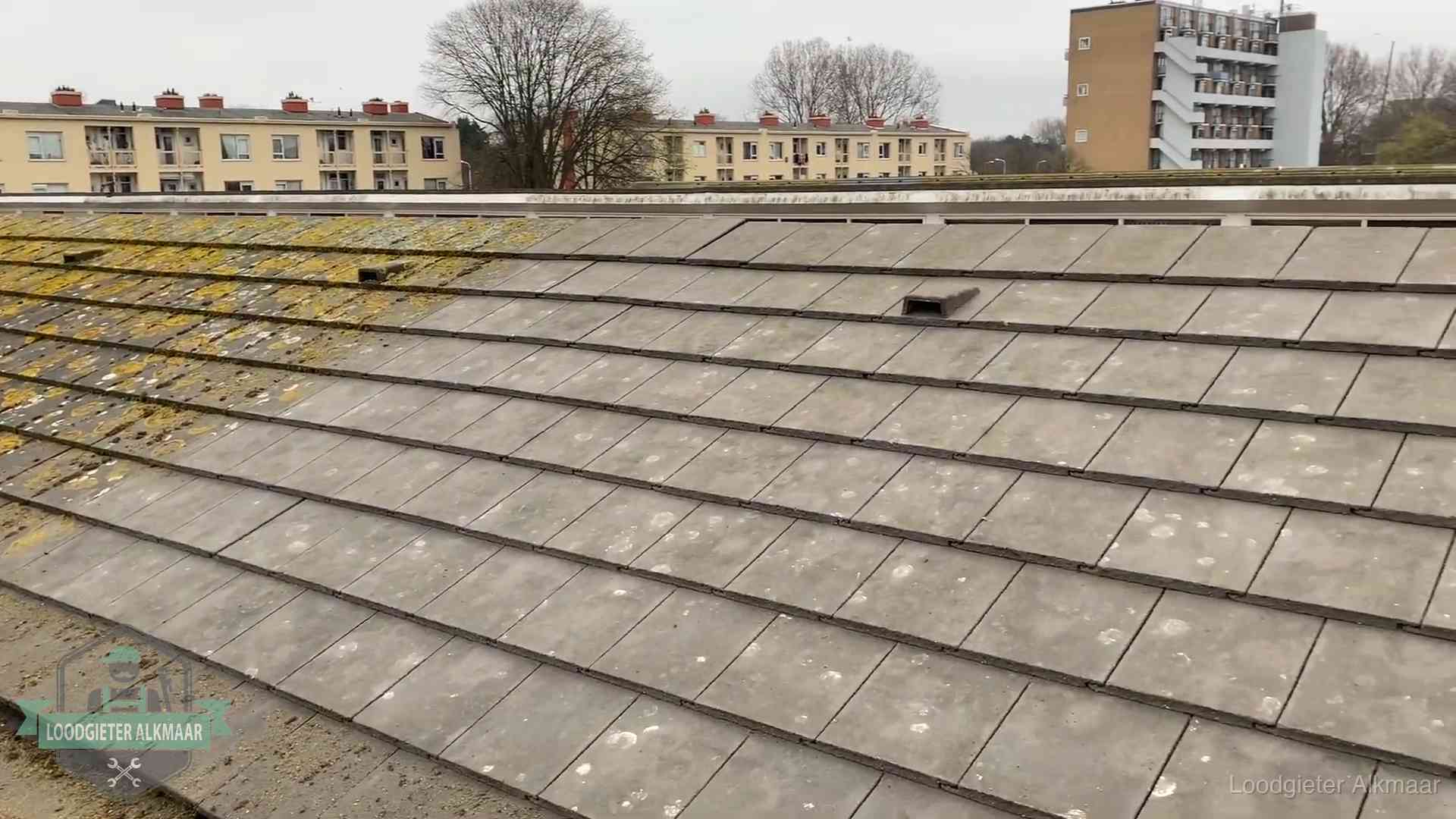 Schuin dak met betonpannen vol mos in Alkmaar, een risico op lekkage bij de pannen